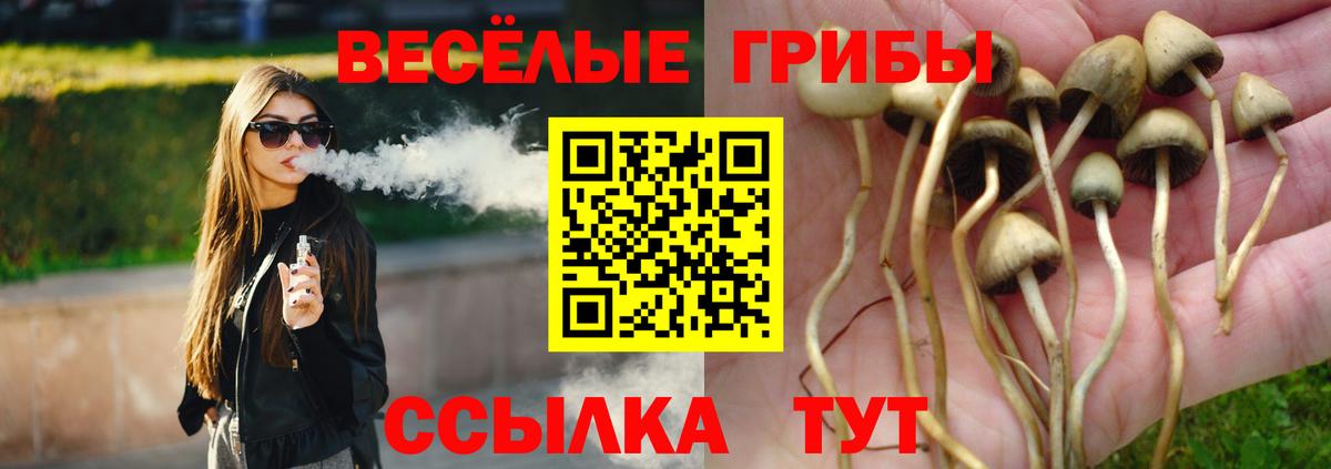 Псилоцибиновые грибы ЛСД Салехард